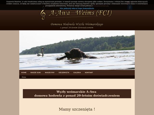 Andrzej Walczak A-Awa Weims (FCI)